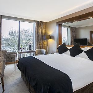 Superior Kamer met een King Size Bed
